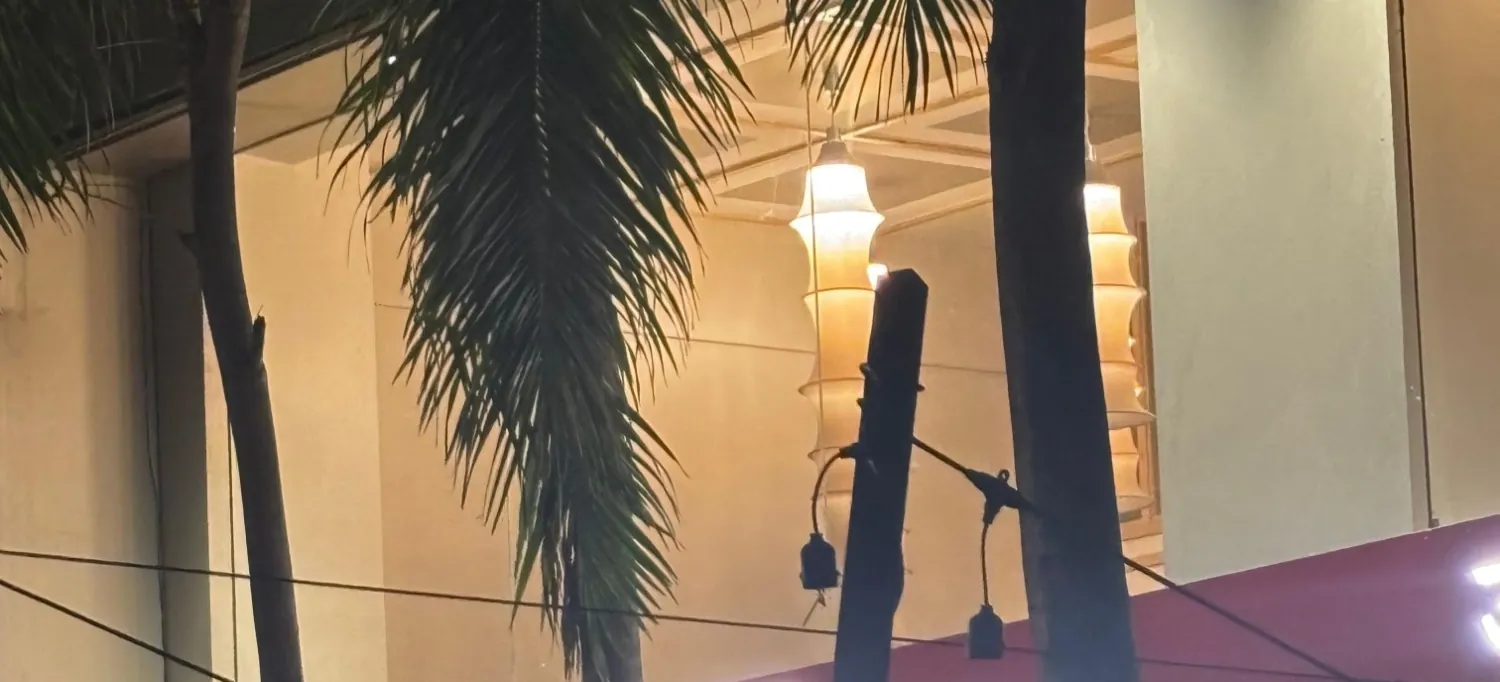 Paper lanterns glowing inside a café at night, seen through the silhouettes of palm fronds